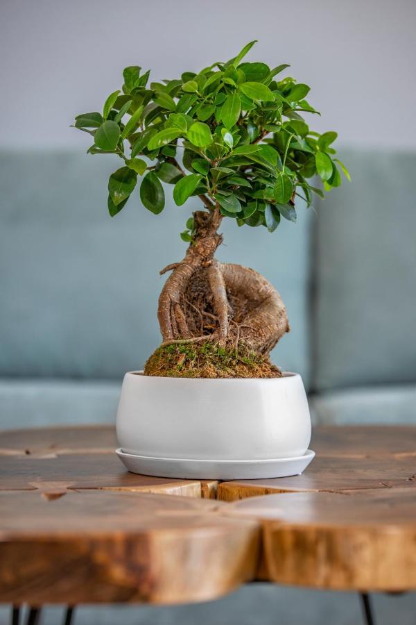 Vila Natura By Rhodes